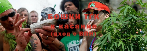 сатива Верхний Тагил